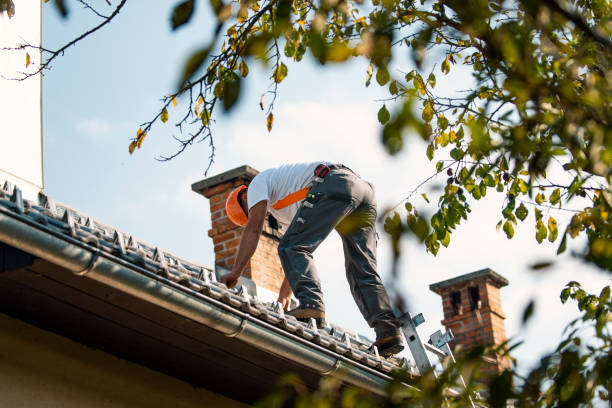 Roof Gutter Cleaning in Rosenhayn, NJ